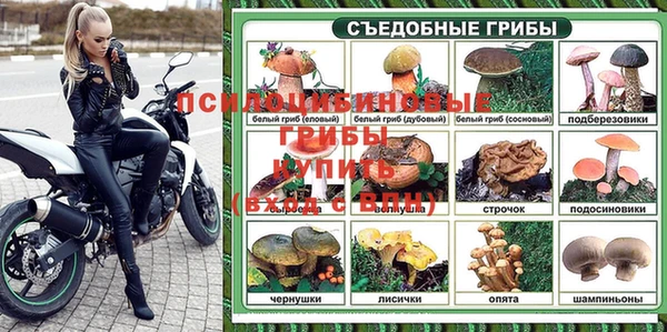герыч Снежногорск
