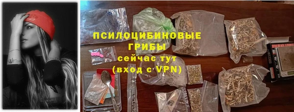 mdpv Богданович
